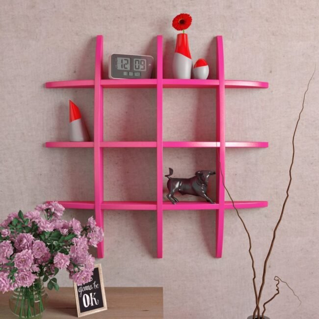 pink display globe wall shelf