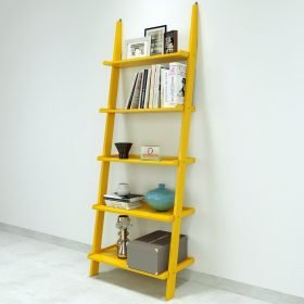 Ladder Shelves