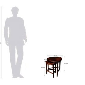 Yanthi Nesting Table Set of 2 - Brown - Image 3
