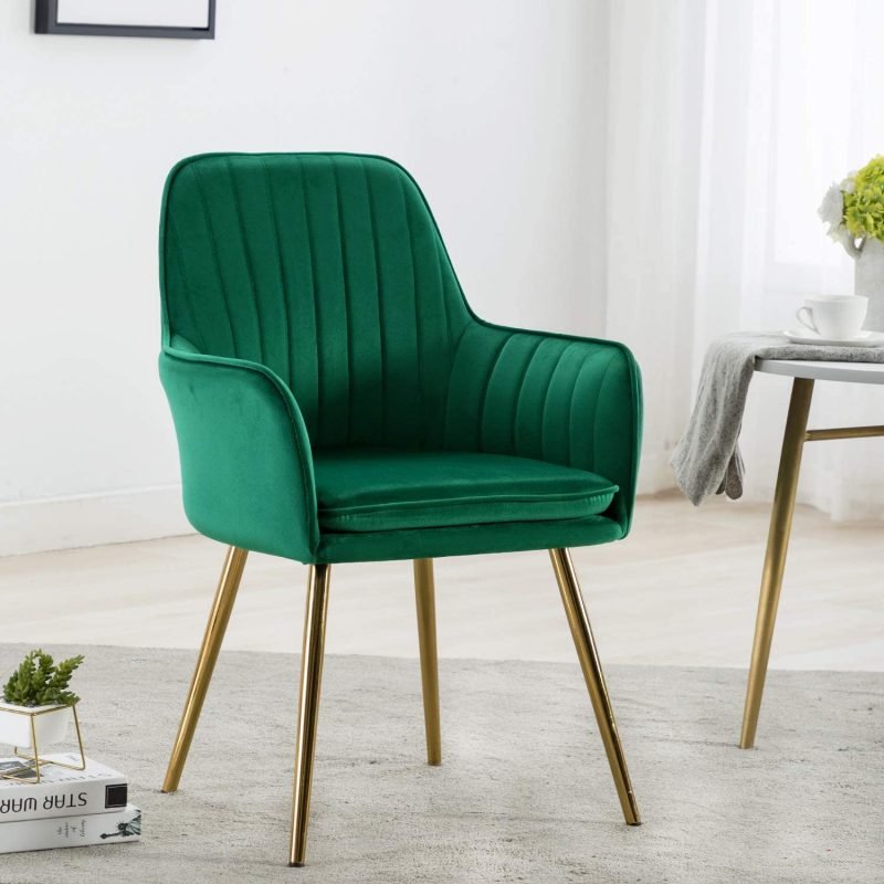 Eula Modern Accent Dining Chair - Decornation